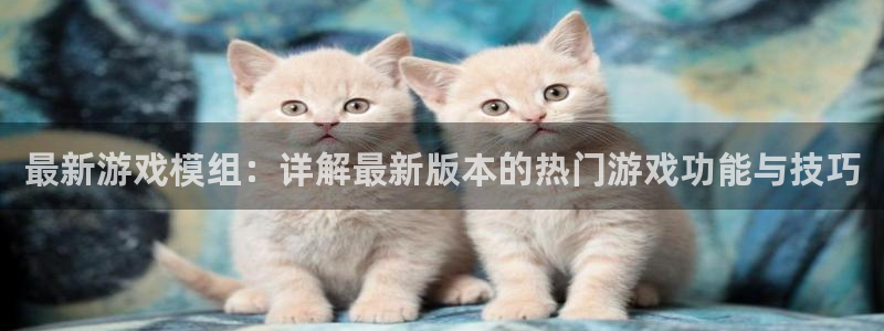 pg电子怎样才能赢：最新游戏模组：详解最新版本的热门游戏功能
